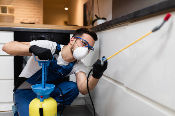 Best Pest Control Near Me  in Punxsutawney, PA