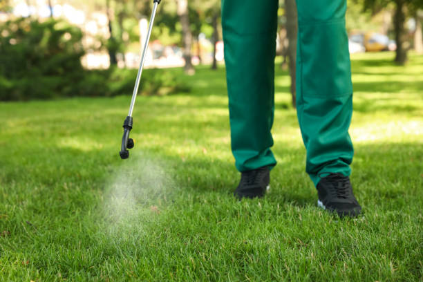 Pest Control for Restaurants in Punxsutawney, PA