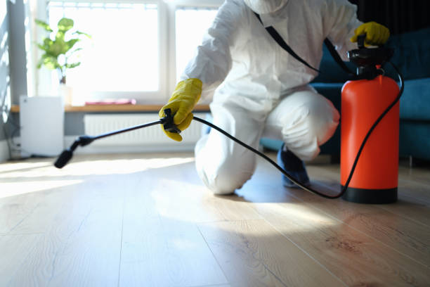 Pest Control Cost in Punxsutawney, PA