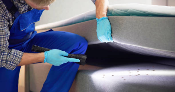 Best Pest Control Near Me  in Punxsutawney, PA