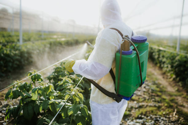 Best Wildlife Control Services  in Punxsutawney, PA